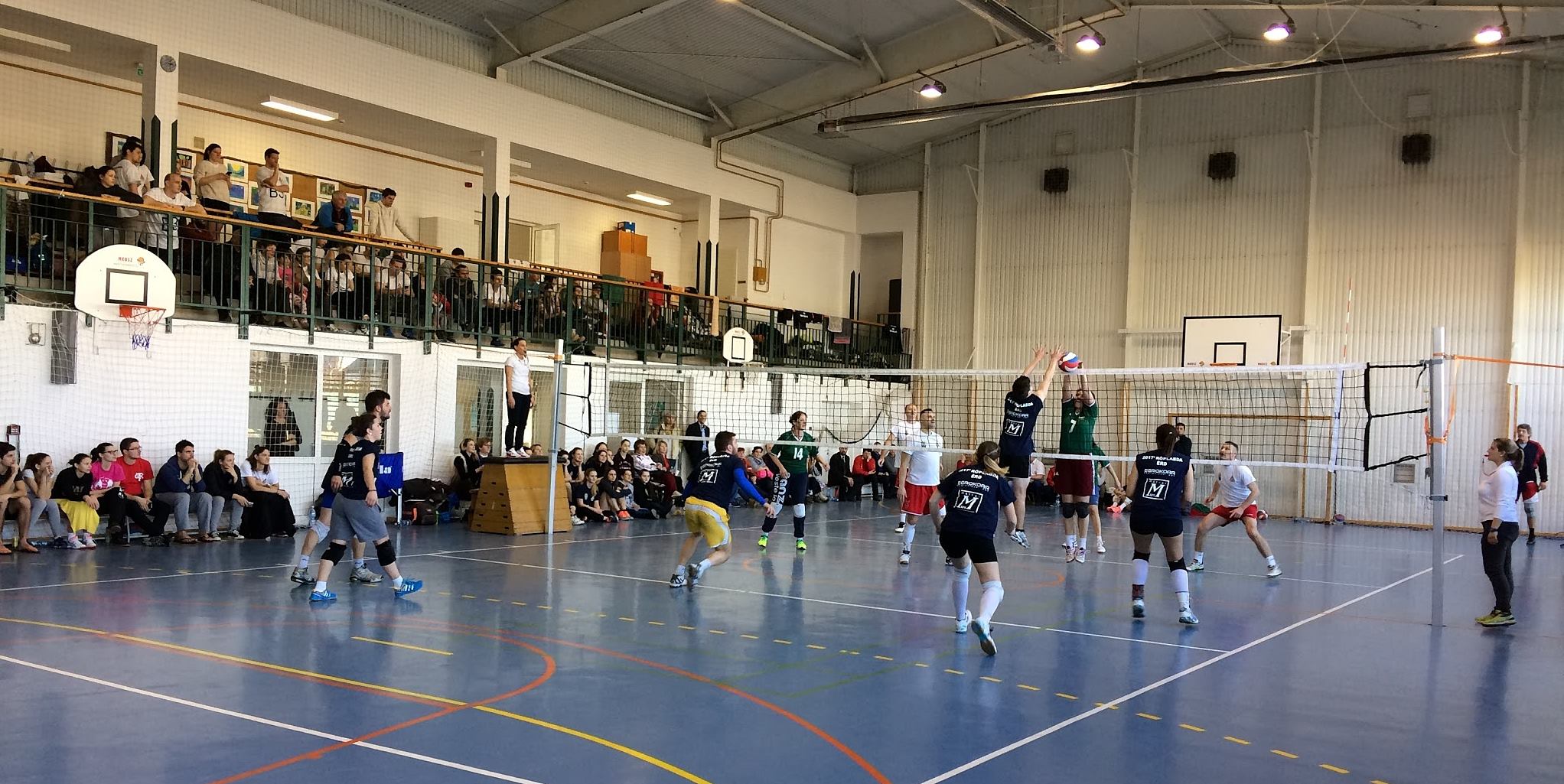 15936342 390592997957916 1804233153716301368 o