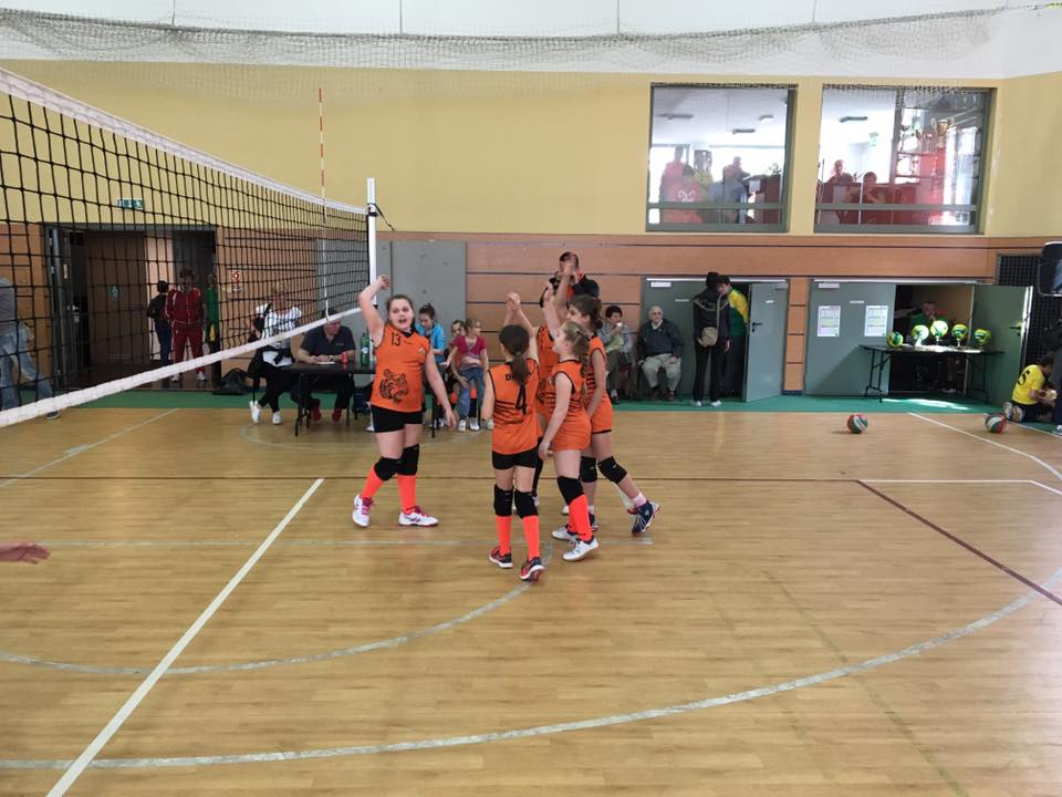 delta bronz sashalom