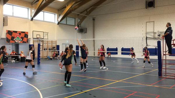 22459413 1201264463350588 5983199032345644796 o