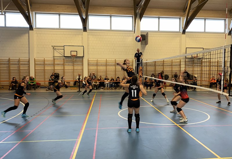 Vissza a helyes útra