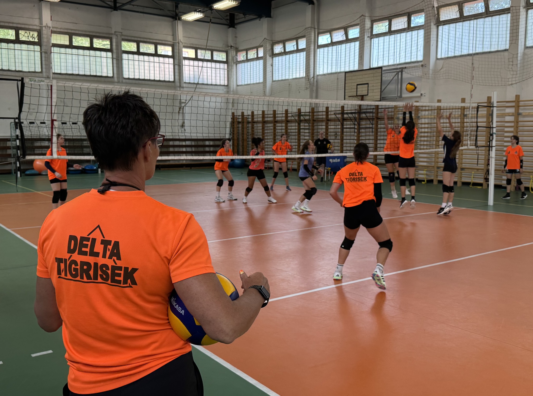 Elrajtolnak a Delta Tigrisek alapszakasz küzdelmei