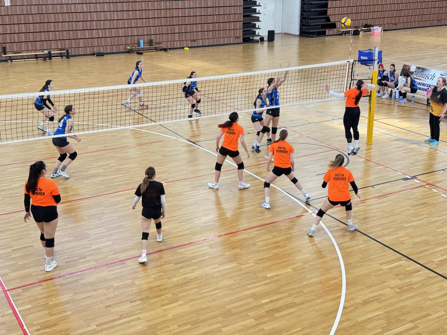 Nemzetközi mérkőzéseket játszottunk 