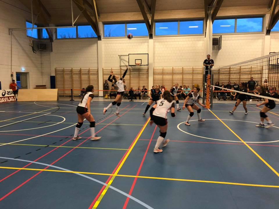 Újabb hazai győzelem